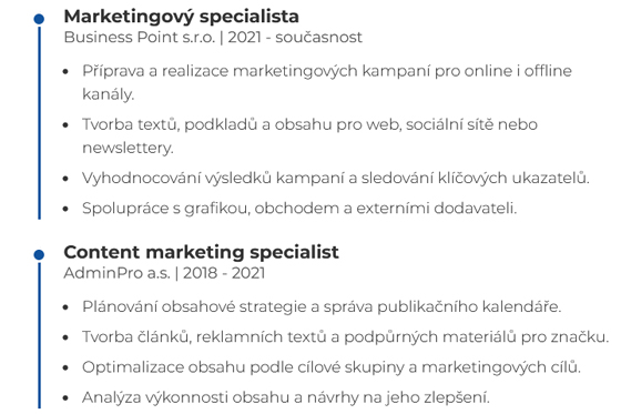 Vzor jak vyplnit zkušenosti v žvitopisu